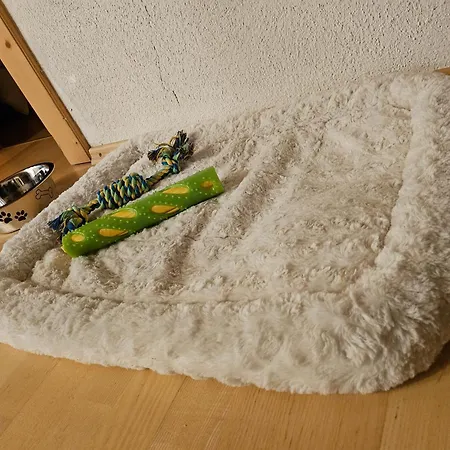 Privatzimmeroase Felicitas Exklusive Apartment *