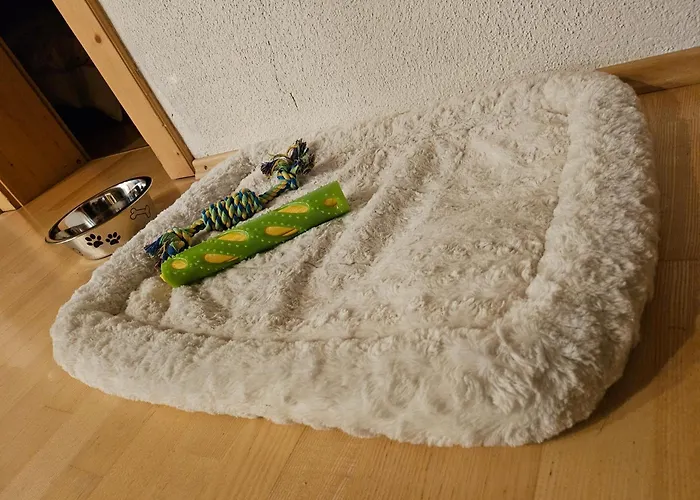 Privatzimmeroase Felicitas Exklusive Lejlighed *